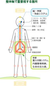 整体軸hana.のこだわり